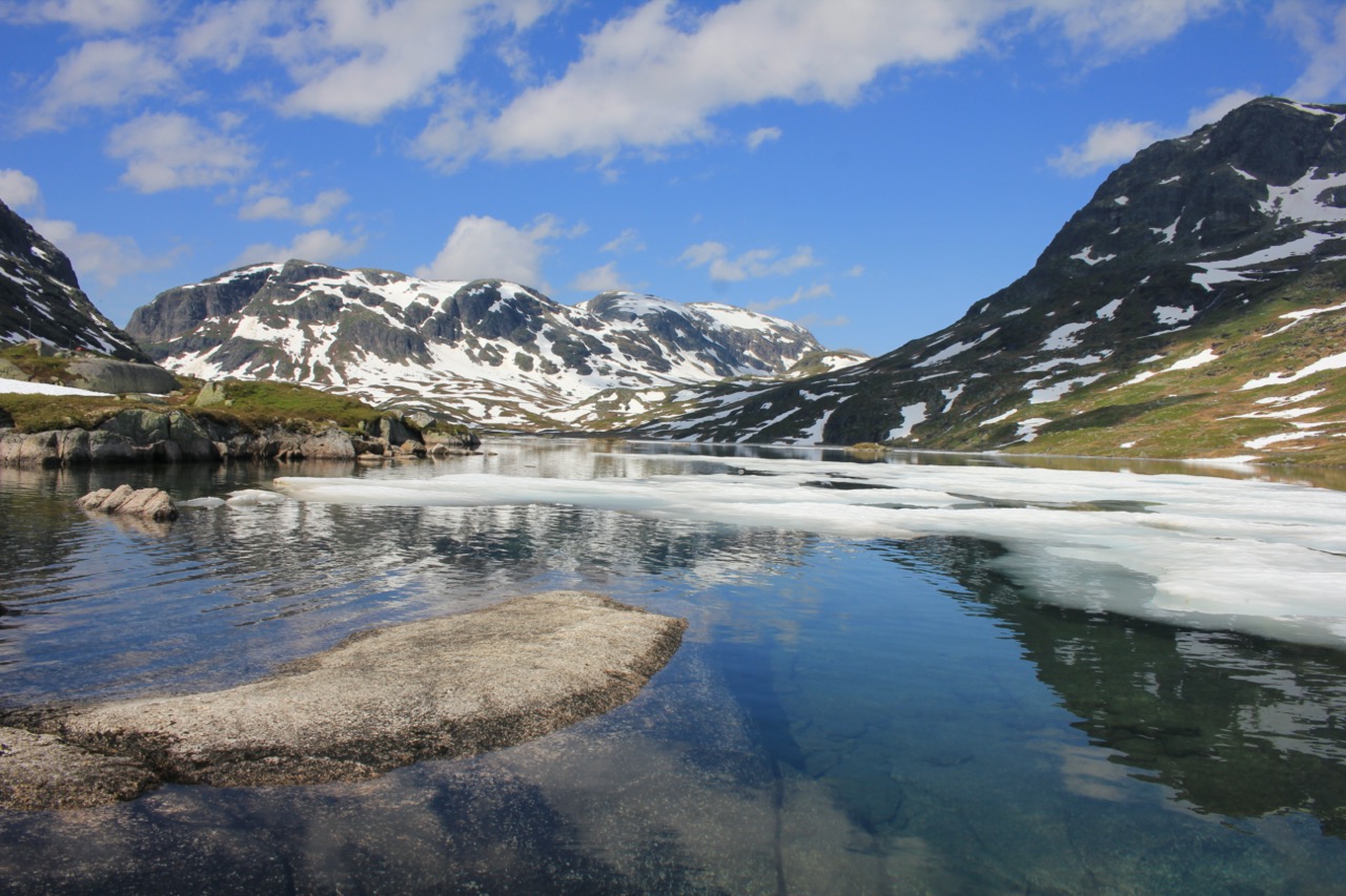 Buarbreen